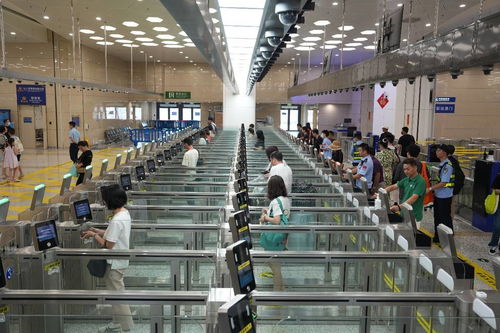 中國科技網(wǎng) 引領(lǐng)網(wǎng)絡(luò)技術(shù)服務創(chuàng)新，賦能數(shù)字中國建設(shè)