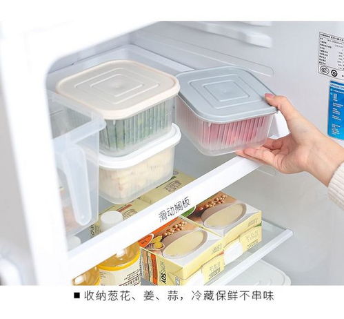 創(chuàng)意廚房好物 點(diǎn)亮烹飪樂(lè)趣，提升家居幸福感
